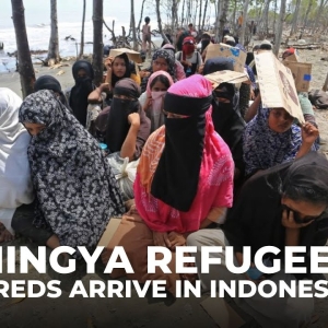 Rohingya refugees in Indonesia